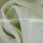 Stretchy TPU Coated High Density Cotton Fabric