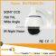 700TVL 360 degree panoramic CCTV dome camera , digital WDR, Vandal proof outdoor model, IP66