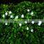 Christmas new solar bubble ball lamp string rechargeable 30LED Christmas lights