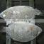 Chopa Fish /Frozen Tilapia For Angola Market
