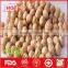 Wholesale Chickpea with great quality and best price