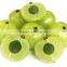 Dried Amla Fruits
