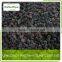 frozen blackberry wholesale