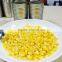 Natural Food Canned Sweet Corn with Whole Kernel in Tin Can Food