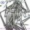 low price Common Round Iron Wire Nails factory/Common nails made in china