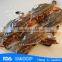 HL003 Rich nutrition swimming crab for sale