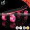 HSJ249 New PP Plastic cruiser Skateboards for kids banana fish board