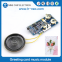 Programmable voice chip recordable sound module for books