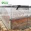 China High Quality Agricultural Poly Film Greenhouse/Low Cost Greenhouse Equipment