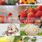 Ozone Ultrasonic Leafy Vegetable Fruit Broccoli Mushroom Eggplant Washing Machine