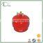 cooking gas 2kg lpg cylinder for household