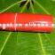 High quality best price cartoon usb flash drive made in china