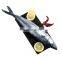 Good quality frozen spanish mackerel fish prices