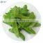 Snow Peas Frozen Peapods