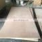 Okume plywood 1220x2440x18mm