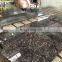 High Quality Polished Natural Indian Stone Tan Brown Granite