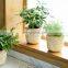 High Quality Set of 3 Bamboo Plant Pot Holder Handmade Flower Pot Wholesale Vietnam Supplier