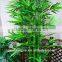 Real Trunk Bamboo Tree