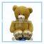 Custom plush big teddy bear