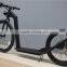 electric kickbike dog scooter foot scooter kick bike for adult (LDH-14R)                        
                                                Quality Choice