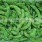 frozen fresh soybean