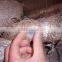 electro galvanized iron wire in coil (real factory)