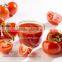 Canned tomato factory Canned Tomato Paste 425g/tin with easy open