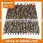 beauty natural dream color freshwater shell teeth mosaic wall tile seller