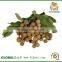 2015 July 100% Orchard fresh sweet Longan fruit