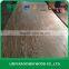 DUK -High Quality FULL LARCH PLYWOOD 4.5mm,7.5mm,11.5mm ,17.5mm