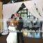 Flexible Pipe and drape Telscopic poles wedding backdrop