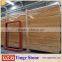 Golden Travertine tile For Sale