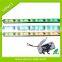 china manufacturer LED amusement lights