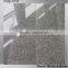 G603 light grey granite slabs price