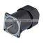 40W ~ 150W AC Hollow Shaft Worm Gear Motor