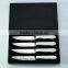 T5 6PCS steak knife set with wood case