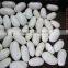 Japanese white kidney beans with best price for sale