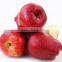 Chinese Fresh Sweet Huaniu Apple With Good Quality