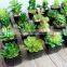 Factory Sale Artificial Succulent Plants Mini Potted Artificial Succulent Plants