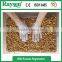 OEM available PE food gloves HDPE/LDPE for choose
