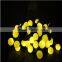 Outdoor waterproof Multicolour led string ball light