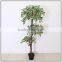 artificial indoor ficus tree