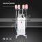 Lipo Cryo Fat Freezing Machine For Spa Used