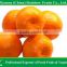 Citrus fruits Mandarin orange
