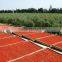 2015 New Crop Qinghai Goji Berries Wholesale Goji Berry