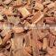 High-quality natural broken Cassia, split cassia, Cinnamon from Vietnam