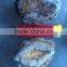 Best Price IQF Frozen Cooked Abalone