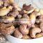 Automatic Cashew Nut/Cashew Kernel Stripper and Grading Machine