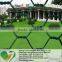 Chicken wire mesh/hexagonal wire netting supplier