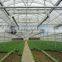 Single Layer Poly Film Greenhouse